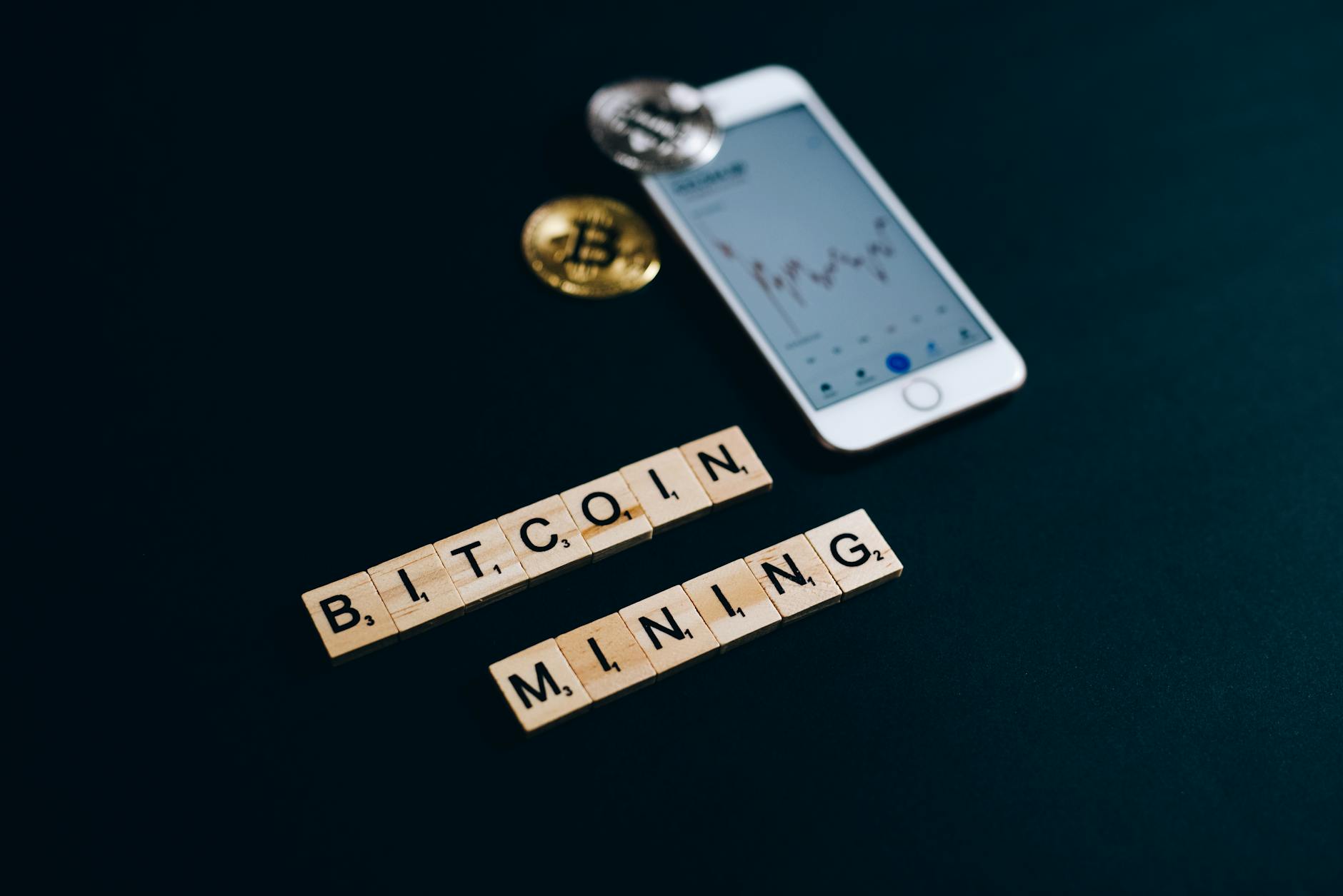 Bitcoin pós-halving 2024 e carreira em TI — Foto por Leeloo The First via Pexels