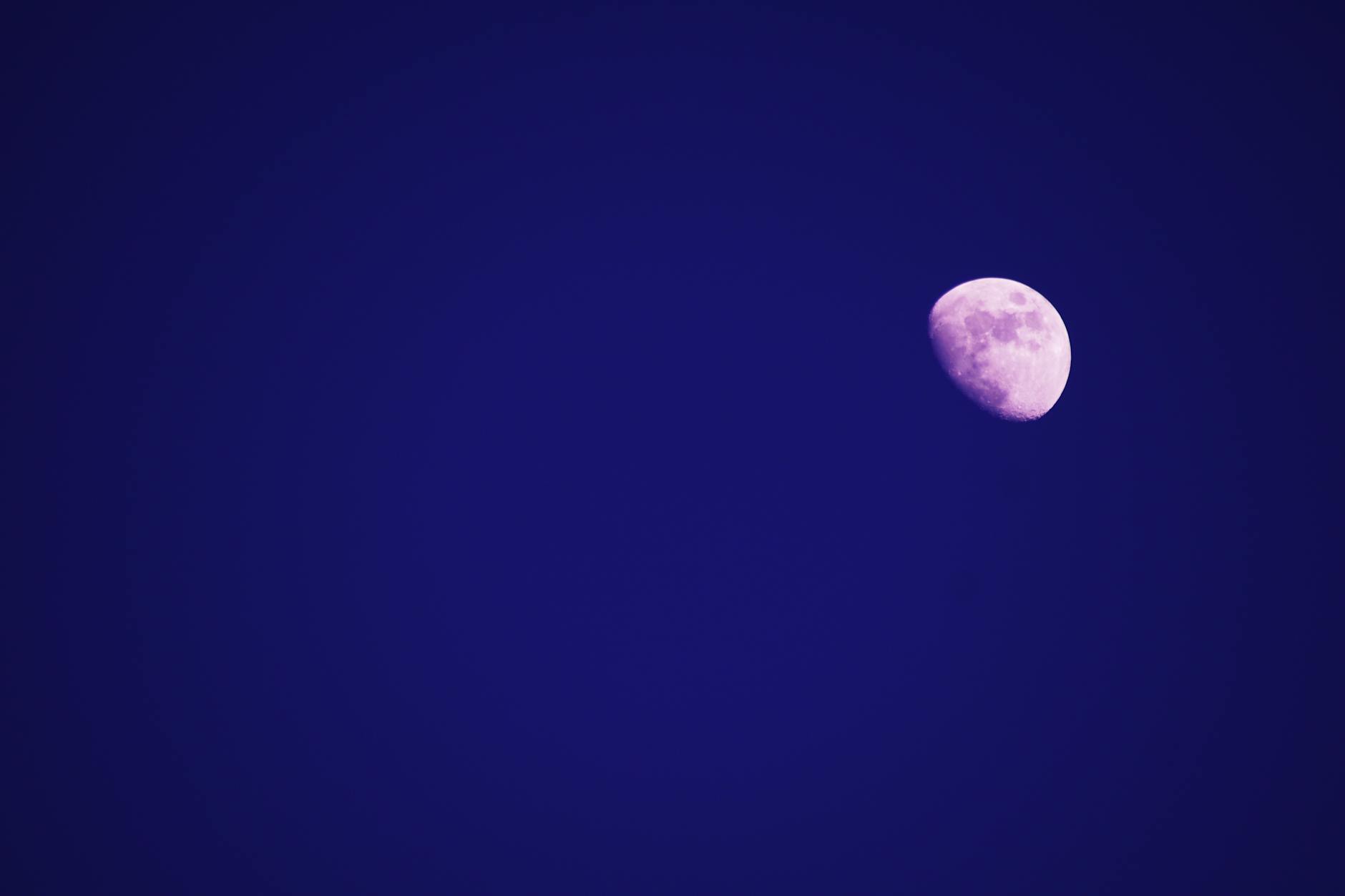 Intel Lunar Lake vs AMD Strix Point em 2026 — Foto por George Becker via Pexels