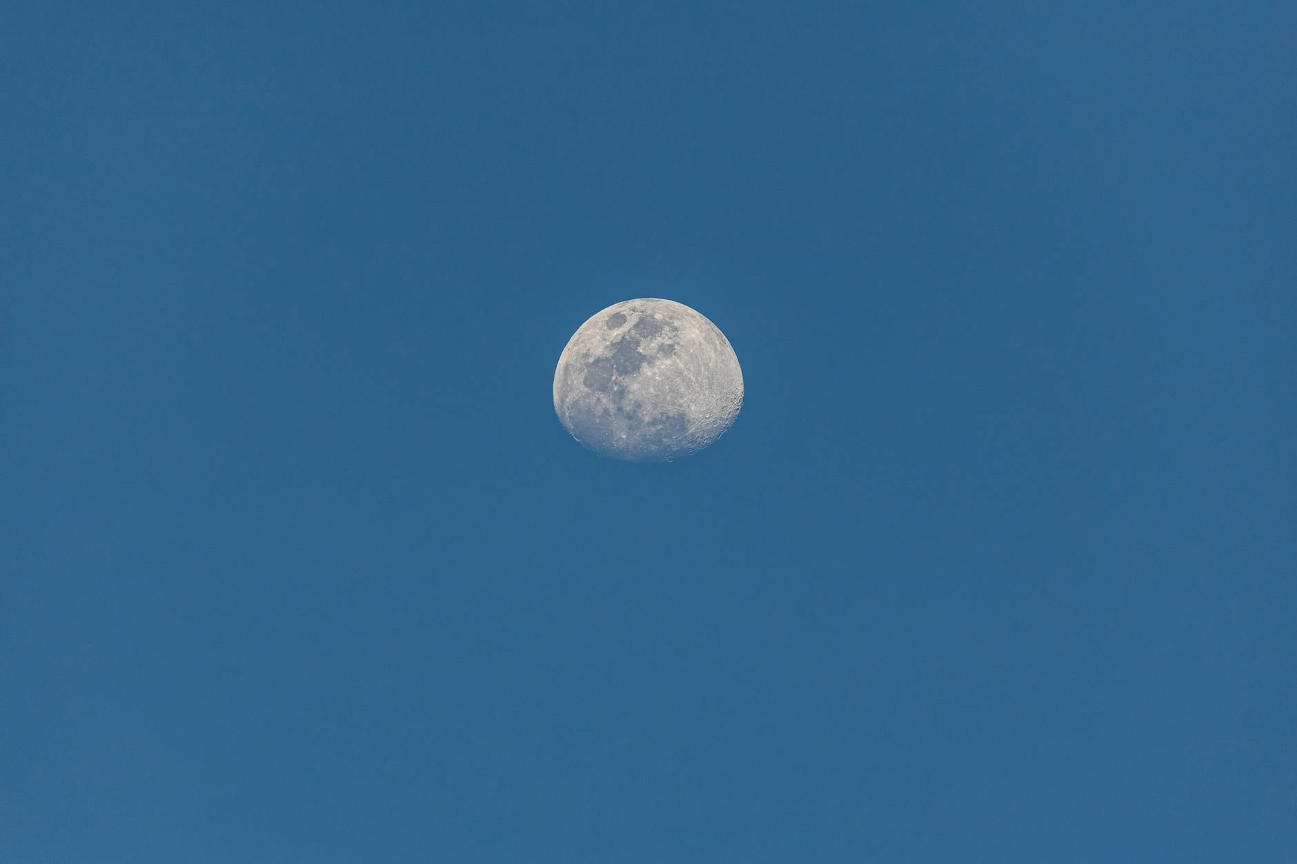 Intel Lunar Lake vs Snapdragon X Elite 2026 — Foto por Jean Paul  Montanaro via Pexels