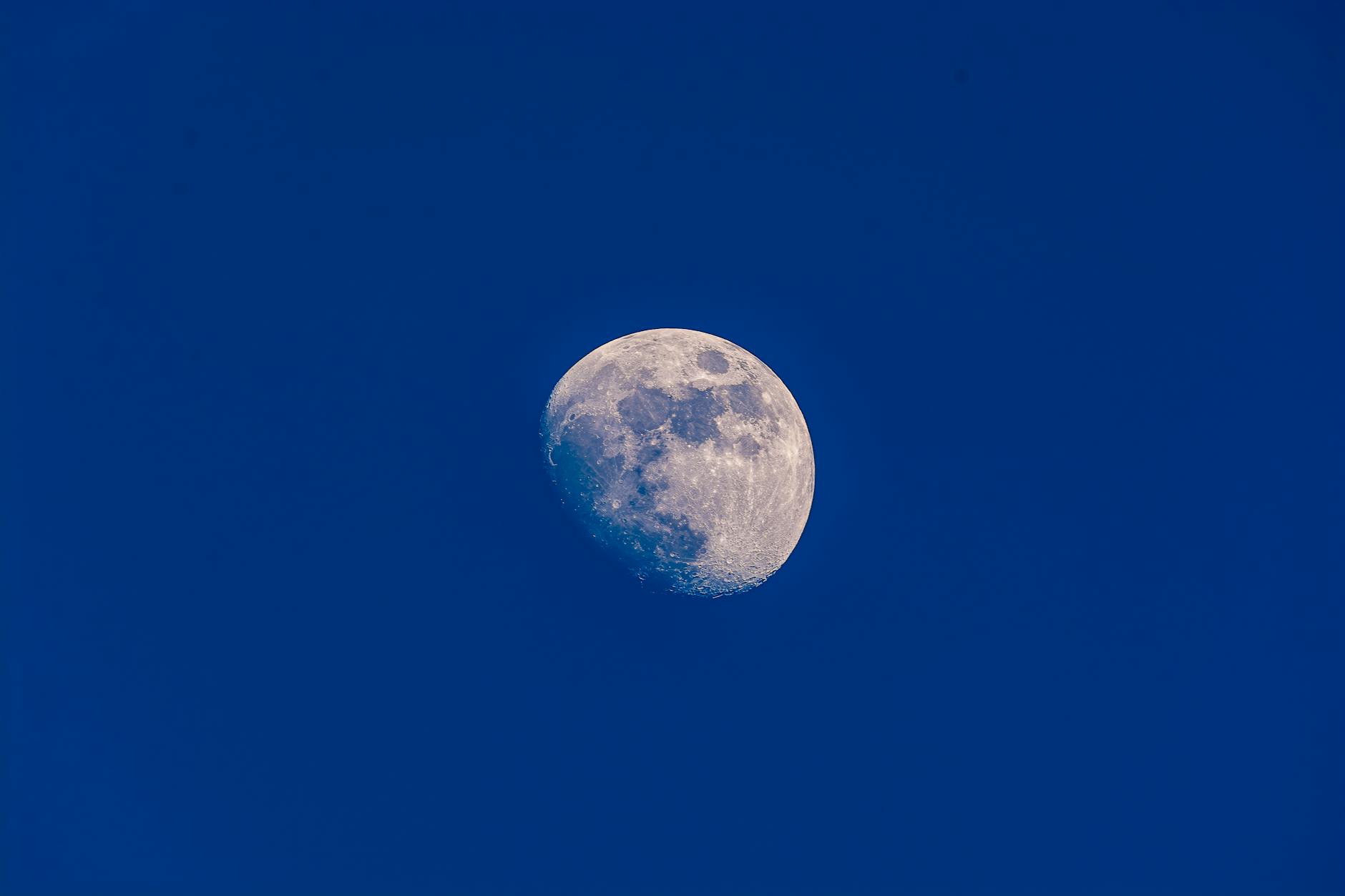 Intel Lunar Lake vs Snapdragon X Elite — Foto por Jean Marc Bonnel via Pexels