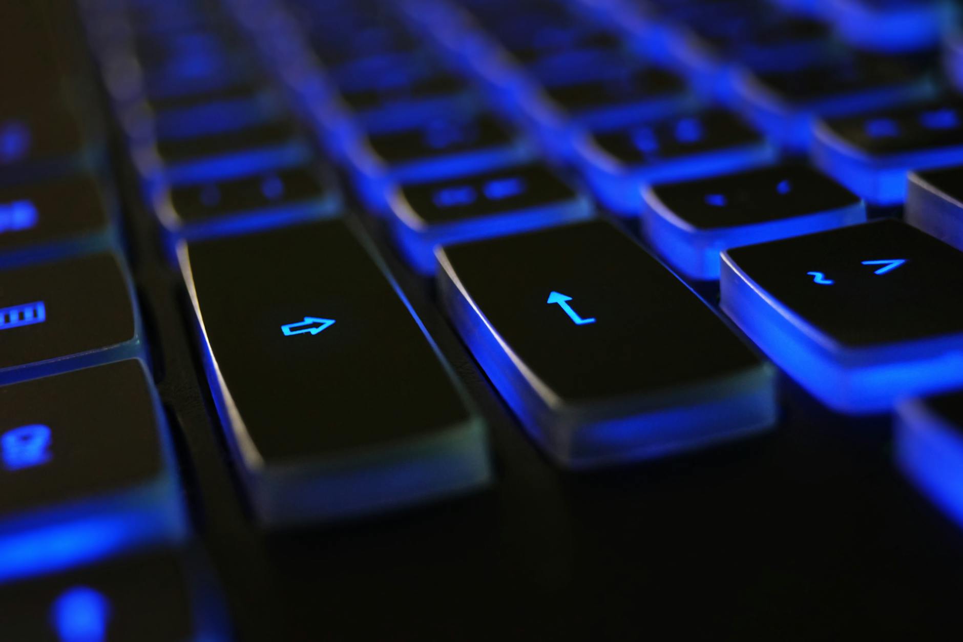 Processadores 2026: Zen 5 vs Core Ultra 200 — Foto por Marta Branco via Pexels