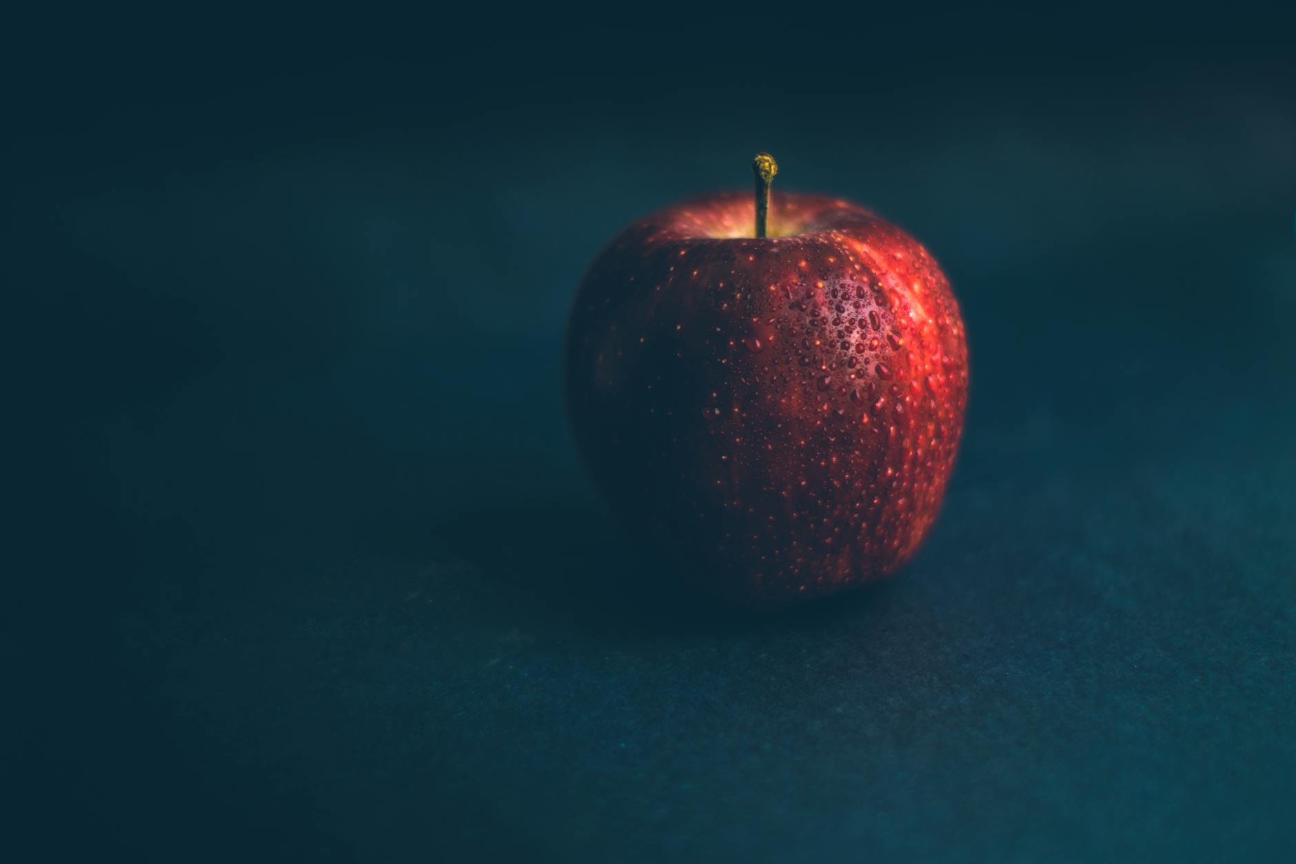 Snapdragon 8 Gen 4 vs Apple A18 Pro em 2026 — Foto por Ashutosh Sonwani via Pexels