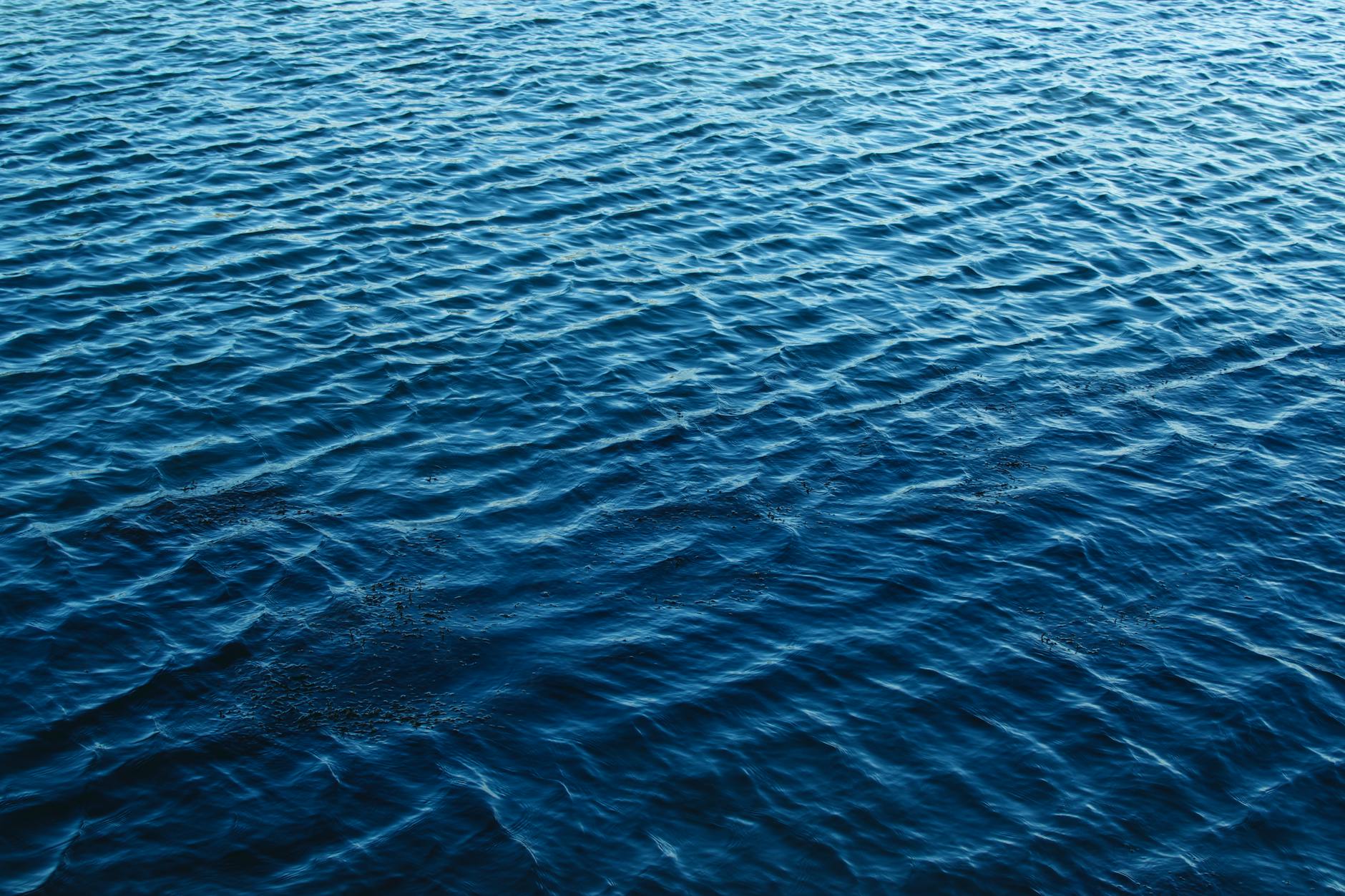 Tecnologia em Águas Frias (SC) em 2026: O Guia Completo Para — Foto por Lisa from Pexels via Pexels